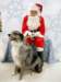santapaws2012_0278_small.jpg