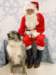 santapaws2012_0279_small.jpg