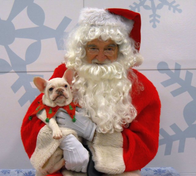 santapaws2012_0280.jpg