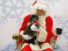 santapaws2012_0282_small.jpg