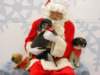 santapaws2012_0283_small.jpg
