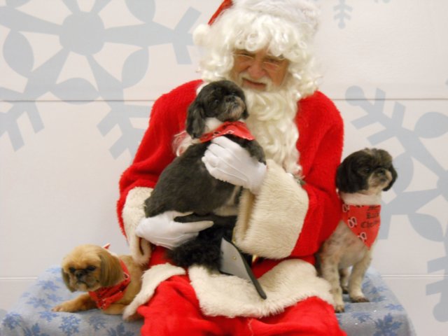 santapaws2012_0284.jpg