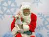 santapaws2012_0286_small.jpg
