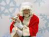 santapaws2012_0287_small.jpg