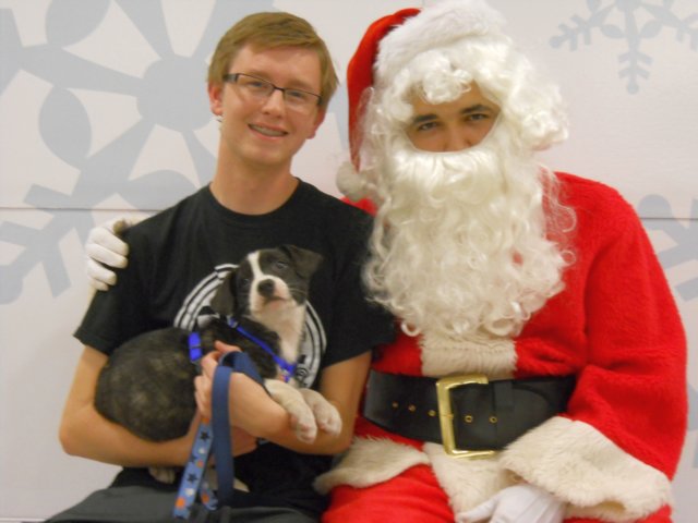 santapaws2012_0299.jpg