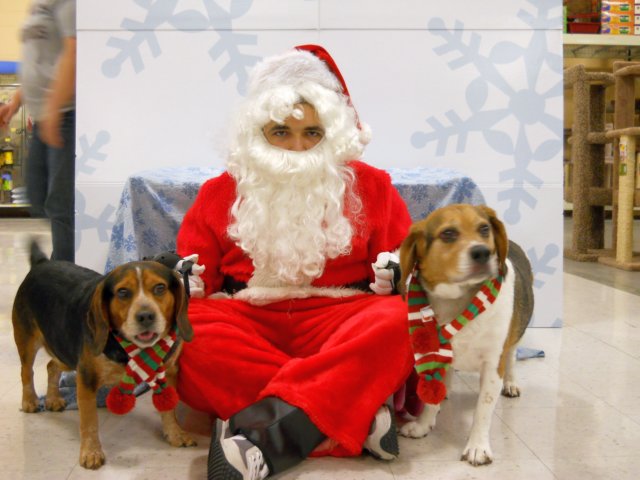 santapaws2012_0301.jpg