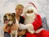 santapaws2012_0303_small.jpg