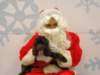 santapaws2012_0305_small.jpg