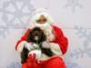 santapaws2012_0307_small.jpg