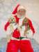 santapaws2012_04012_small.jpg