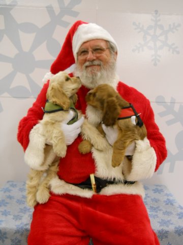 santapaws2012_04013.jpg