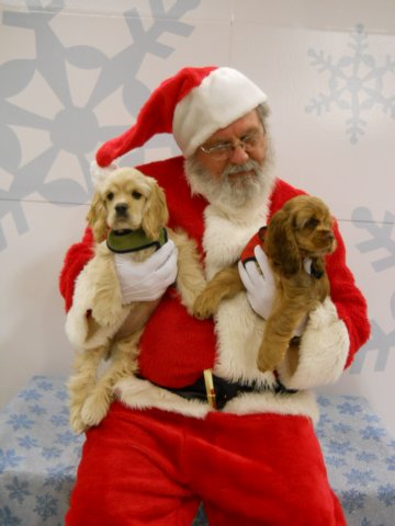 santapaws2012_04014.jpg