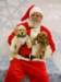 santapaws2012_04015_small.jpg