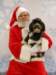 santapaws2012_0402_01_small.jpg