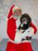 santapaws2012_0402_02_small.jpg