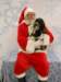 santapaws2012_0402_04_small.jpg