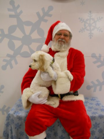 santapaws2012_0403_01.jpg