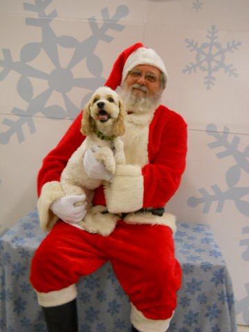 santapaws2012_0403_03.jpg