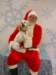 santapaws2012_0403_03_small.jpg