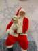 santapaws2012_0403_04_small.jpg