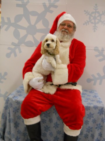 santapaws2012_0403_05.jpg
