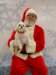 santapaws2012_0405_02_small.jpg