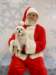 santapaws2012_0405_04_small.jpg
