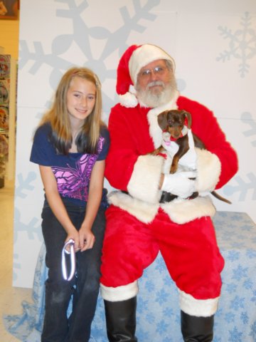 santapaws2012_0406_05.jpg