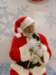 santapaws2012_0407_04_small.jpg