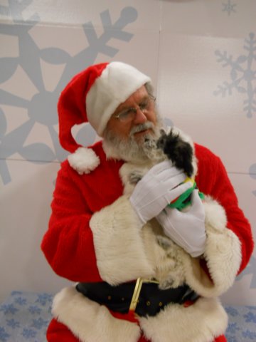 santapaws2012_0407_05.jpg