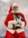 santapaws2012_0408_04_small.jpg