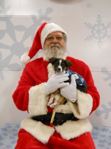 santapaws2012_0408_06.jpg