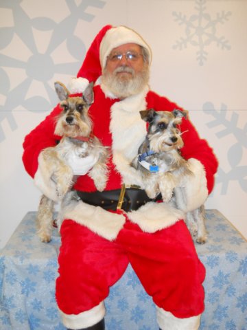 santapaws2012_0408_07.jpg