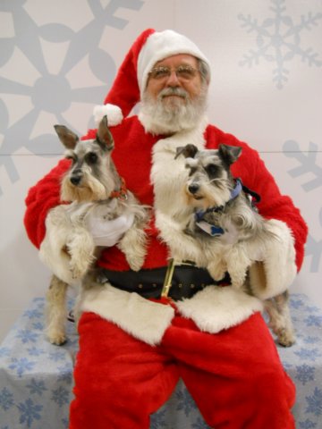 santapaws2012_0408_09.jpg