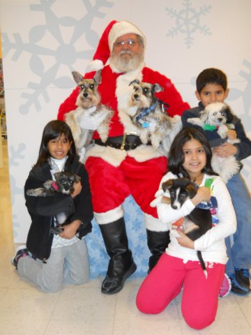 santapaws2012_0408_11.jpg