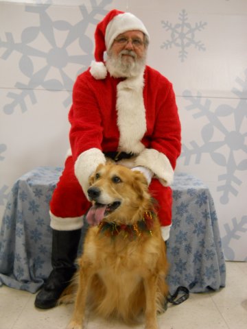 santapaws2012_0409_01.jpg