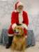 santapaws2012_0409_01_small.jpg