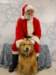 santapaws2012_0409_02_small.jpg