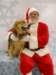 santapaws2012_0409_07_small.jpg