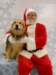 santapaws2012_0409_08_small.jpg
