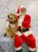 santapaws2012_0409_12_small.jpg