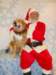 santapaws2012_0409_13_small.jpg