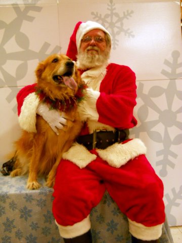 santapaws2012_0409_16.jpg