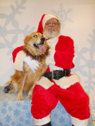 santapaws2012_0409_18.jpg