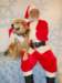 santapaws2012_0409_20_small.jpg