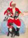 santapaws2012_0410_09_small.jpg