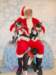 santapaws2012_0410_12_small.jpg