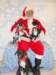 santapaws2012_0410_13_small.jpg