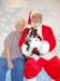 santapaws2012_0410_20_small.jpg