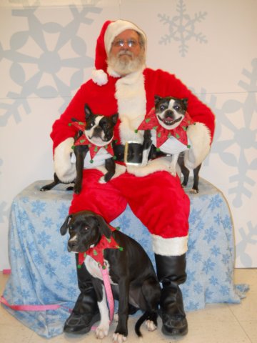santapaws2012_0410_29.jpg